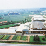 Monselice